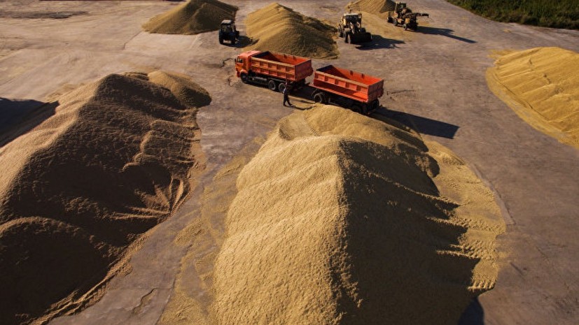 Минсельхоз России предлагает увеличить объём зерна для реализации из интервенционного фонда