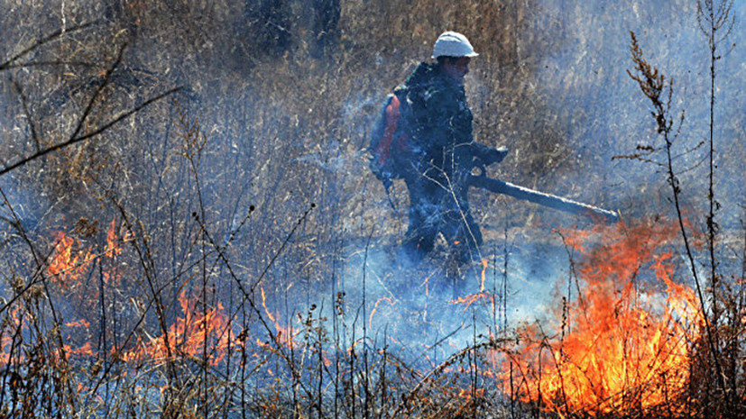 В ряде районов Курской области ввели особый противопожарный режим