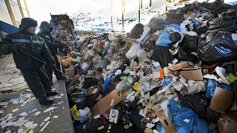 В Подмосковье за месяц задержали более 260 человек за выброс мусора в неустановленных местах