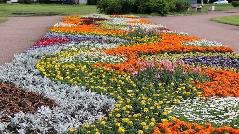 В Петербурге пройдёт конкурс «Парад садов»