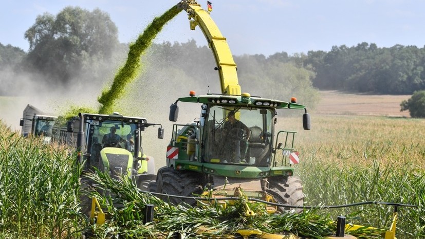 В Германии фермеры просят финансовой помощи у правительства из-за низких урожаев