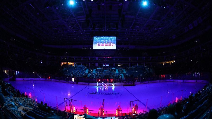 Московское «Динамо» планирует построить хоккейную школу в Петровском парке