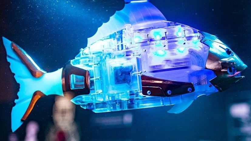 На ВДНХ открыли первый в России аквариум с рыбами-роботами