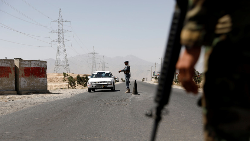 СМИ: Два лесника из Таджикистана погибли на границе с Афганистаном при обстреле талибов 