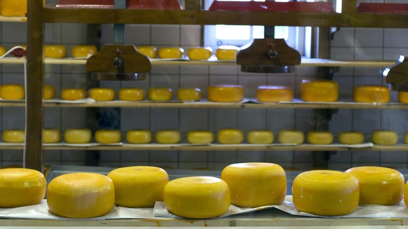 В Калининградской области изъяли 620 килограммов незаконно ввезённого сыра