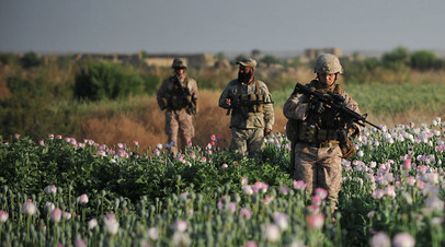 Морские пехотинцы США в полях опиумного мака
