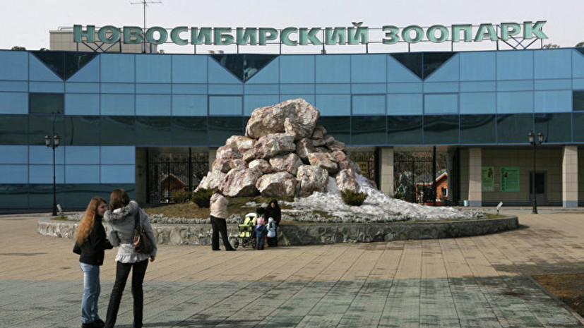 Новосибирский зоопарк запустил ежегодную акцию «Добрый урожай»