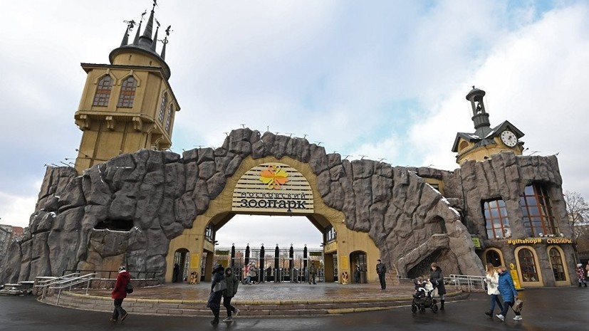 Московский зоопарк продлил летний режим работы до 15 сентября
