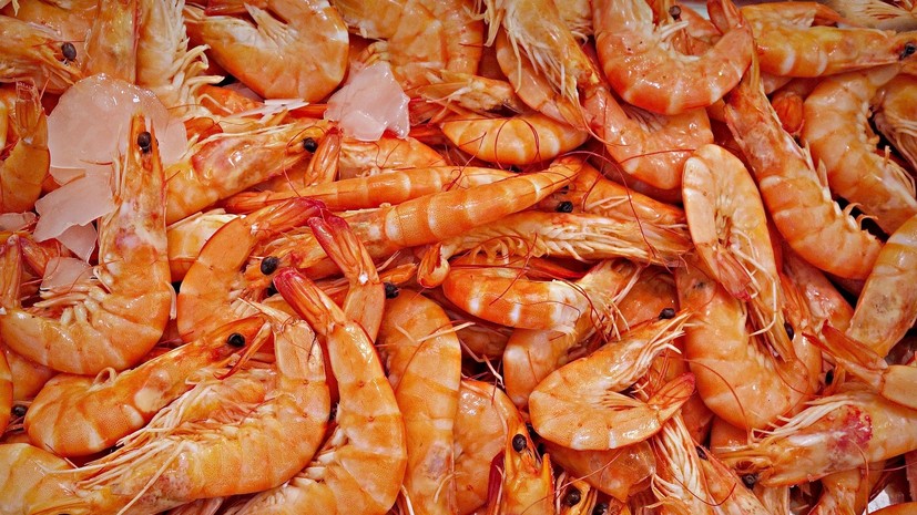 Минсельхоз запретил ловлю черноморской креветки до конца 2018 года