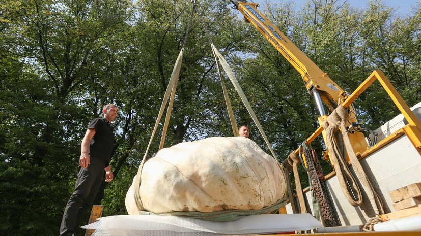 Выставленную в Москве тыкву внесли в Книгу рекордов России