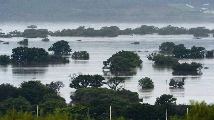 Более 20 северокорейских моряков спасли российские пограничники после тайфуна в Приморье