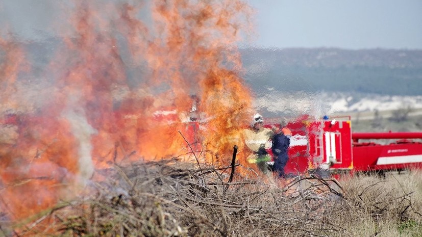 За лето в Кировской области сгорело более 12 гектаров леса