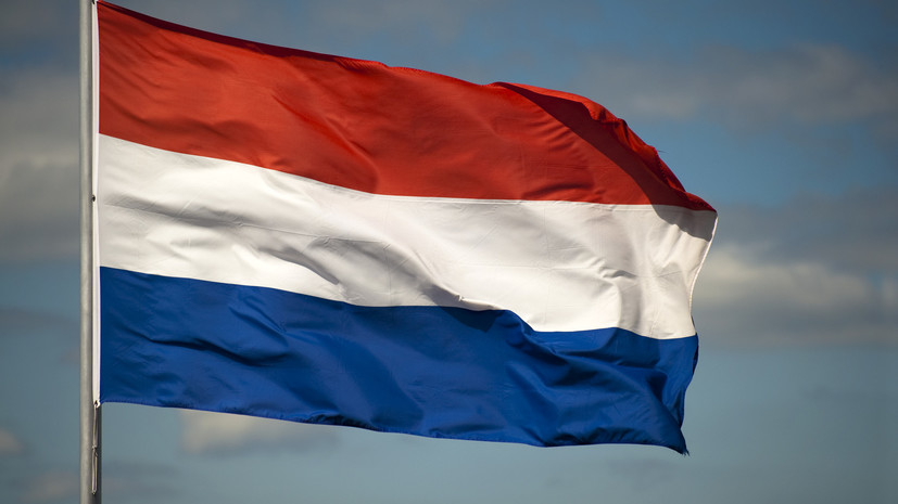 Нидерланды прекратят финансирование организации «Белые каски»