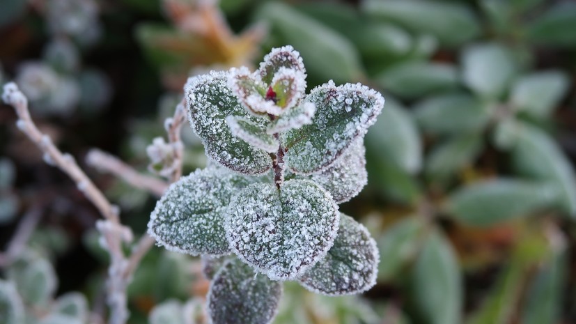 В Перми побит температурный рекорд 1958 года