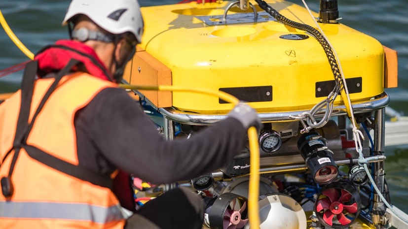 Активисты подали в шведский суд иск против «Северного потока — 2»