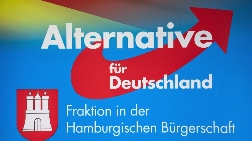 Опрос: «Альтернатива для Германии» стала самой популярной партией на востоке ФРГ