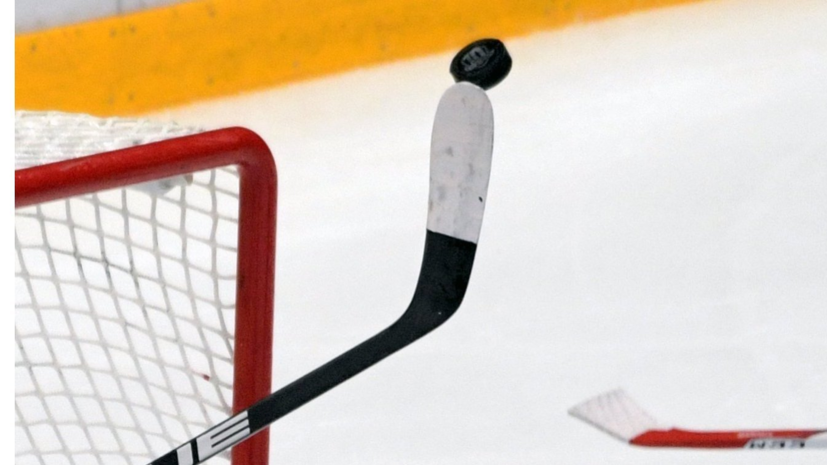 Хоккеиста «Сибири» дисквалифицировали на два матча за толчок судьи