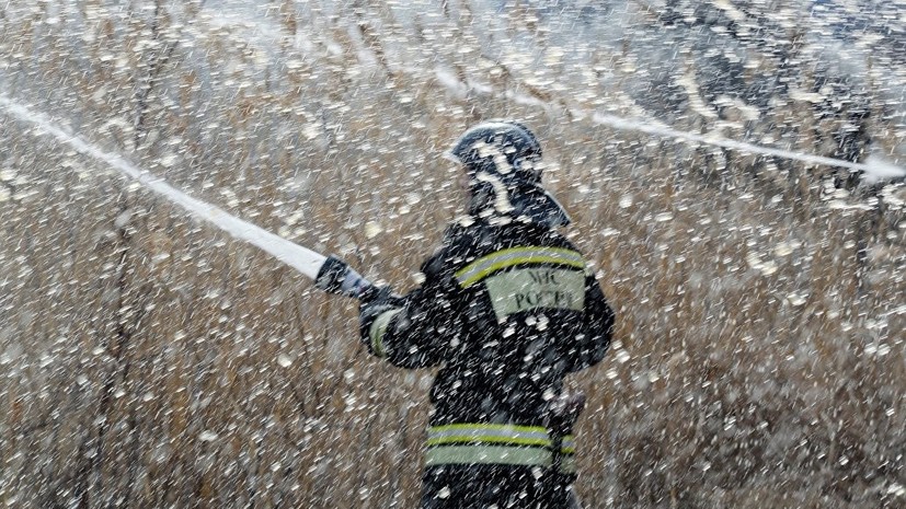 В Нижегородской области предупредили о сохранении высокой пожароопасности лесов