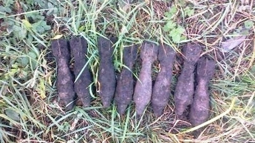 В Белгородской области обезвредили восемь мин времён Великой Отечественной войны