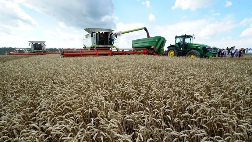 Эксперт объяснил реакцию США на рекордные показатели урожая и экспорта пшеницы в России