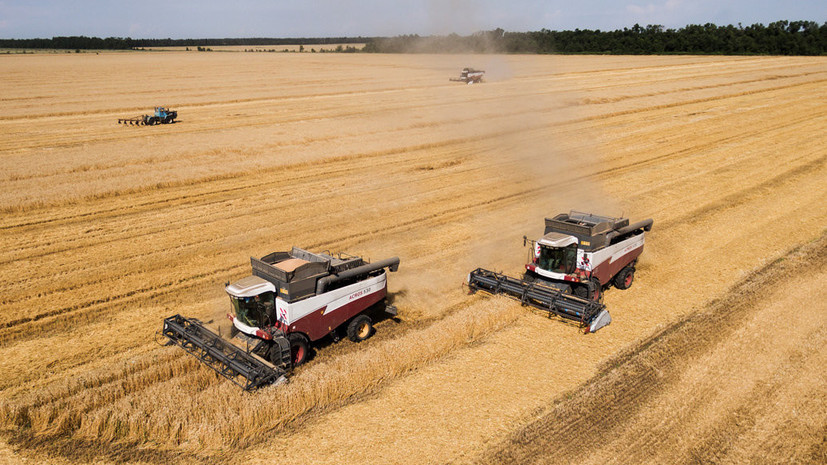 Эксперт прокомментировал реакцию США на рекордные показатели урожая и экспорта пшеницы в России