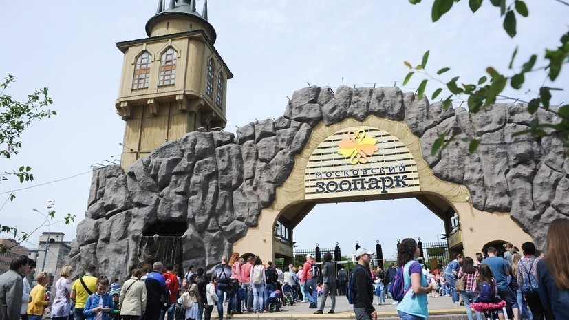 Столичные власти согласовали проект строительства нового входа в Московский зоопарк