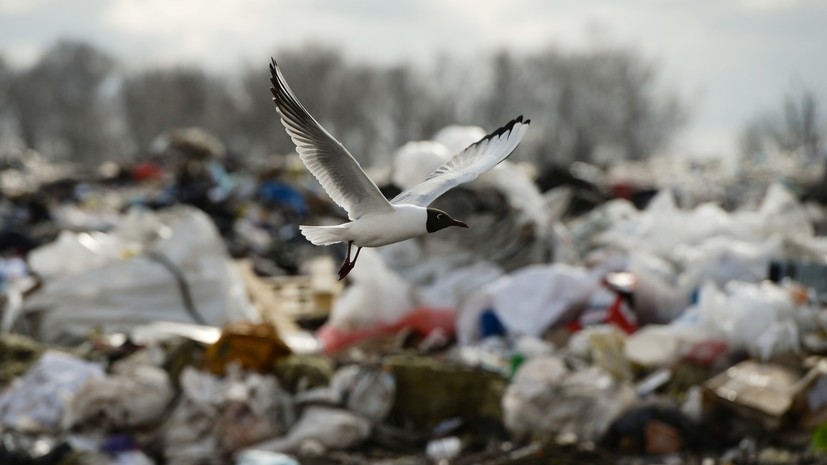 В Подмосковье ликвидировали 12 тысяч незаконных мусорных свалок за лето