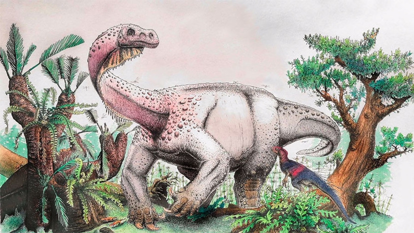 Доисторический гигант: учёные определили размеры самого крупного динозавра юрского периода