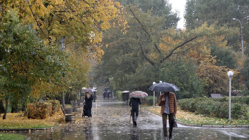 Синоптики рассказали о сроках окончания дождей в Москве