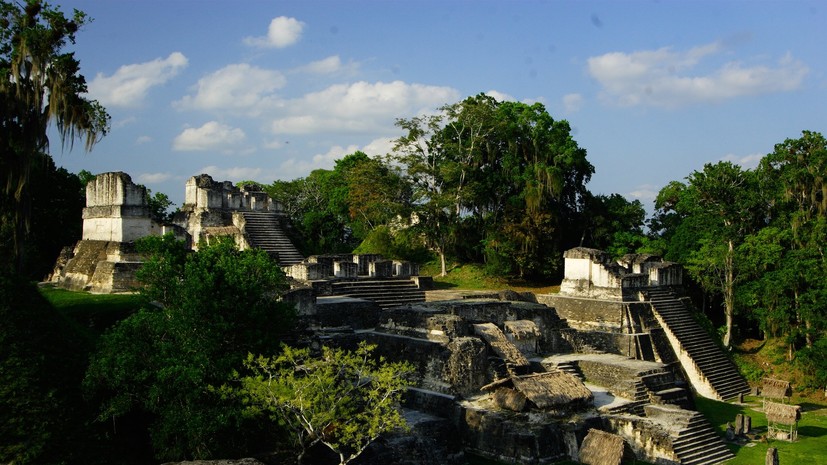 В тени джунглей: археологи обнаружили затерянные поселения древних майя