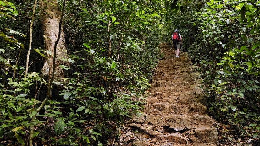 В джунглях Вьетнама обнаружили останки пропавшего в 1971 году советского лётчика