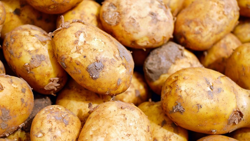«Роскачество» отчиталось о проверке картофеля