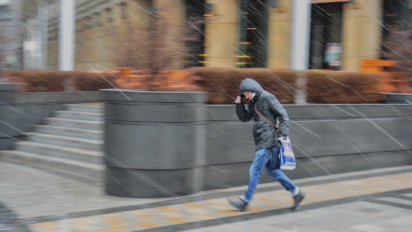 В МЧС предупредили жителей Москвы о сильном ветре в ближайшие часы
