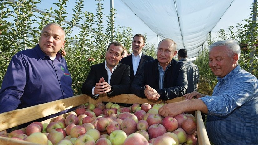 Путину на день рождения подарили саженцы яблонь