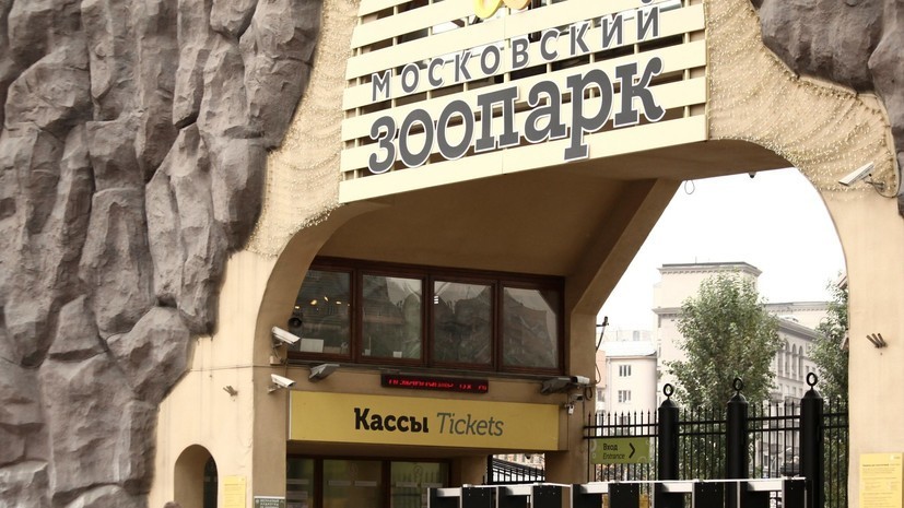 В Московском зоопарке заработал центр зимней передержки рукокрылых