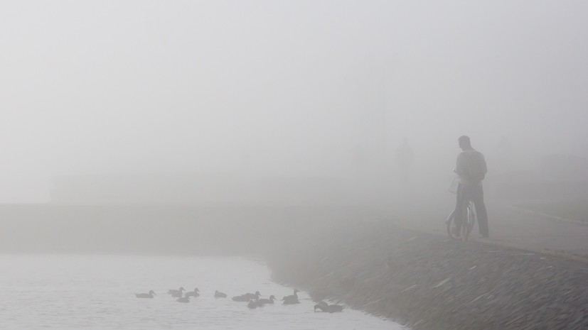 В МЧС предупредили о сильном тумане в Подмосковье