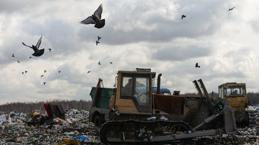 В Госдуме предрекли «мусорный коллапс» в 19 регионах