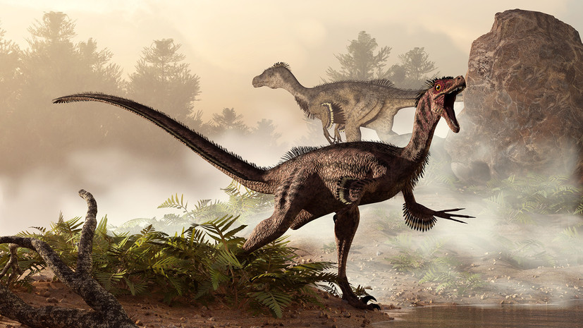 Дыхание мезозоя: учёные нашли сходство между современными птицами и динозаврами