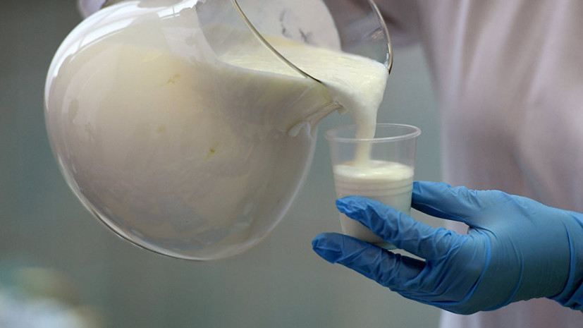 Эксперт рассказал об опасности фальсифицированных молочных продуктов