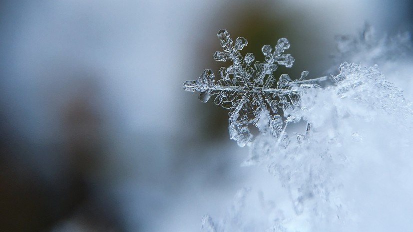 Гидрометцентр сообщил о морозах до -6 °C на следующей неделе в Московском регионе