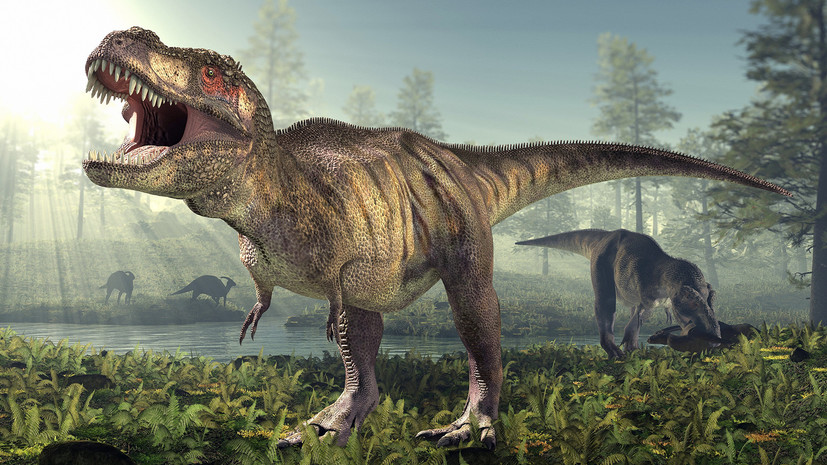 что вы знаете о динозаврах?