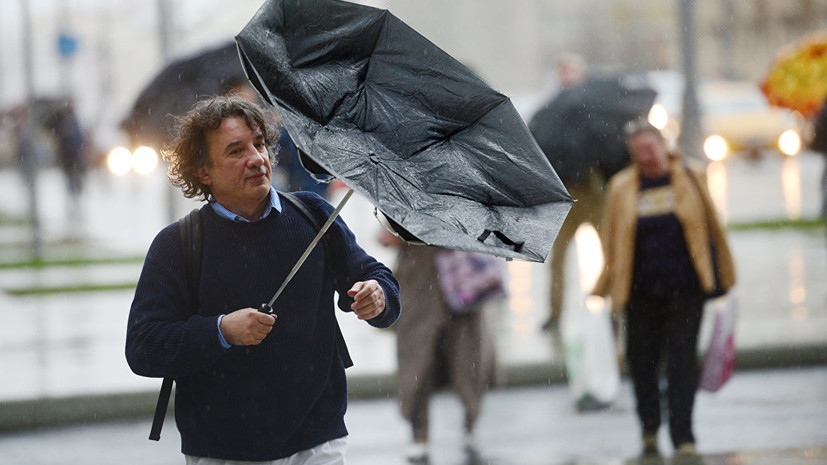 МЧС предупредило об усилении ветра в Москве