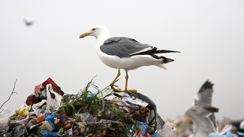 В Оренбургской области планируют ликвидировать крупный полигон отходов