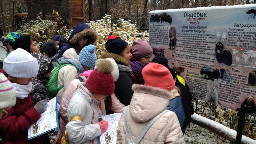 Новосибирский зоопарк перешёл на зимний график