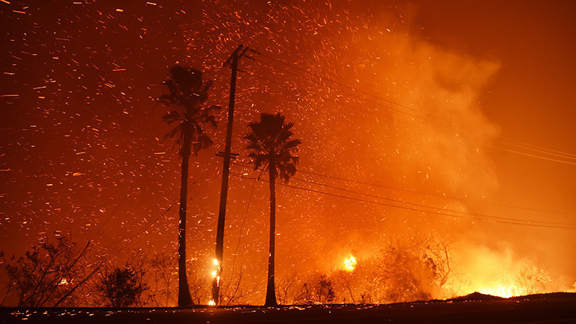 «Масштабы проблемы лишь нарастают»: почему США не могут взять под контроль ситуацию с пожарами в Калифорнии