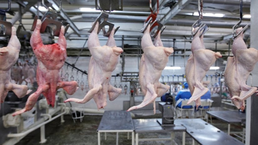 Россельхознадзор запрещает транзит по России в Казахстан мяса птицы из США
