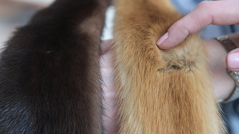 В Роспотребнадзоре дали советы по покупке изделий из меха