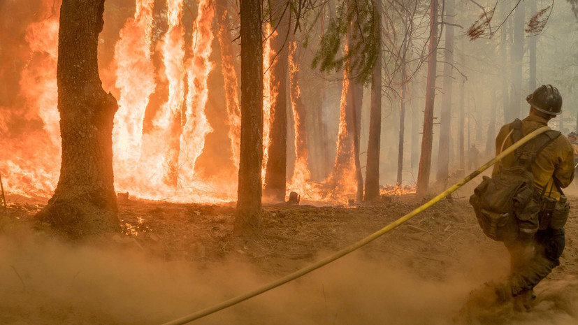 Число погибших из-за лесных пожаров в Калифорнии возросло до 80