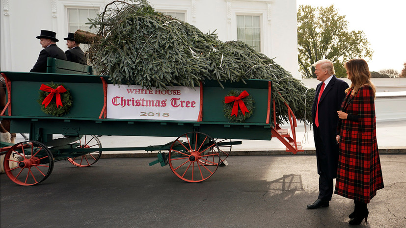 Дональд и Меланья Трамп приняли рождественскую ёлку во дворе Белого дома