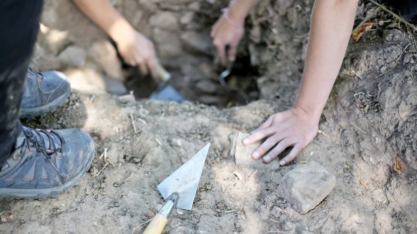 В Подмосковье археологи нашли череп мамонта с кладом внутри